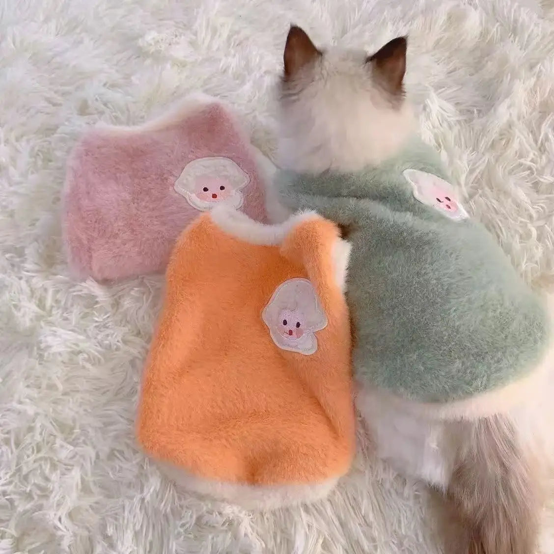 Adorable Autumn and Winter Cat Winter - MyPetDollar.com