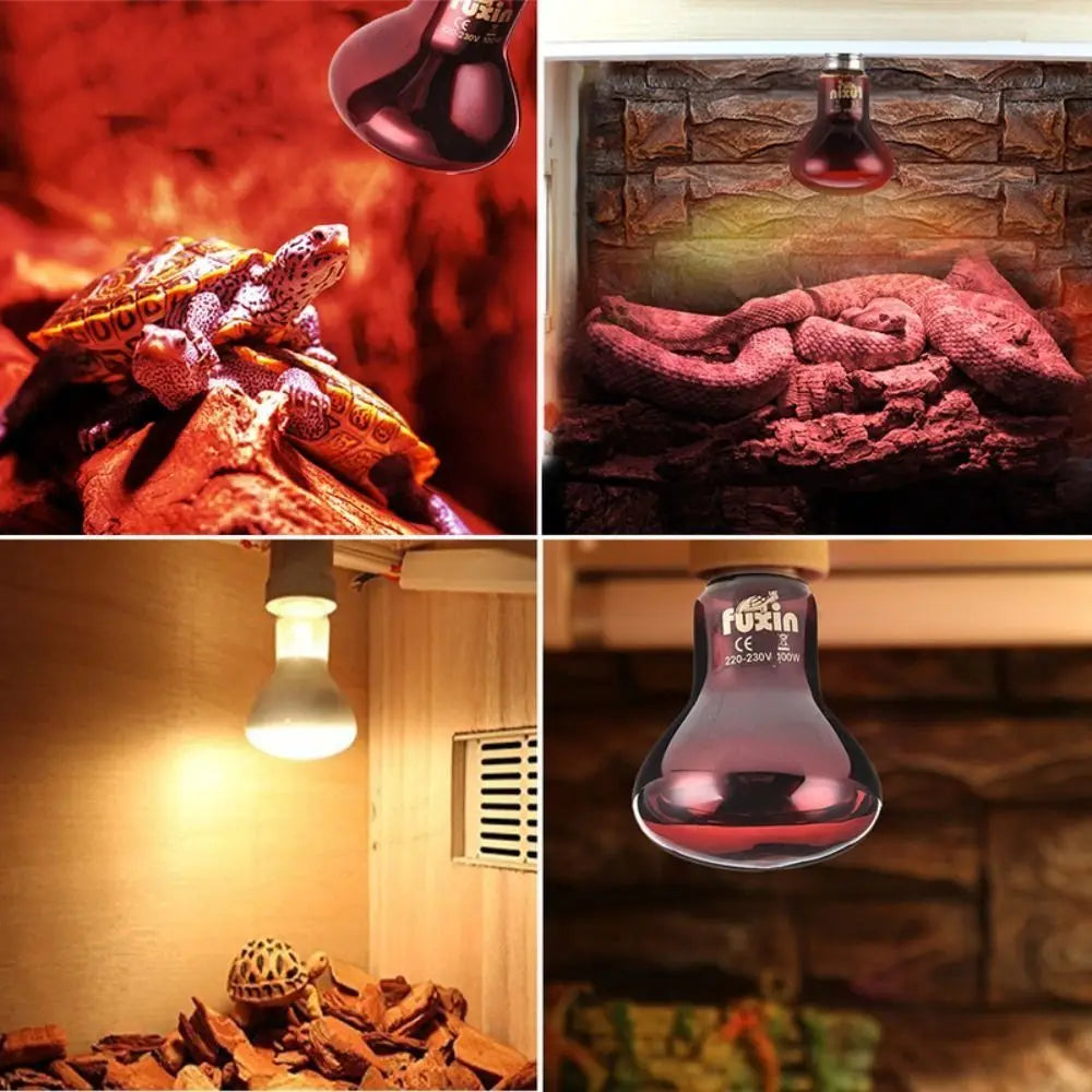 Night Light UVA Led Pet Heating Lamp - MyPetDollar.com