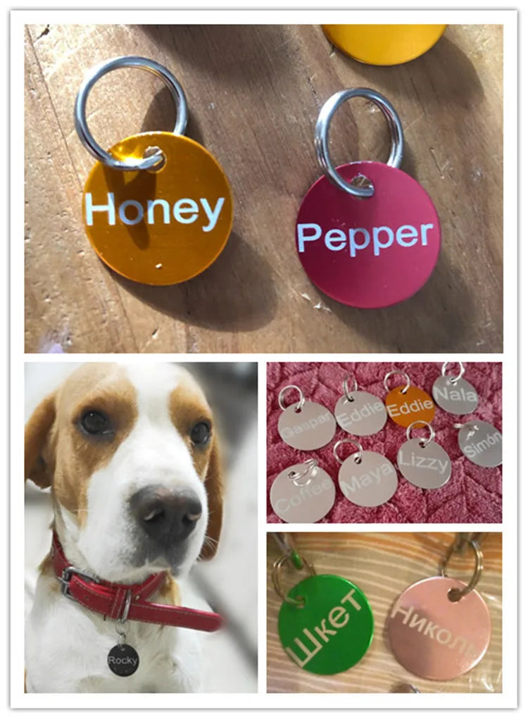 2pcs Free Laser Engraving Pet Dog ID Tag Cat - MyPetDollar.com