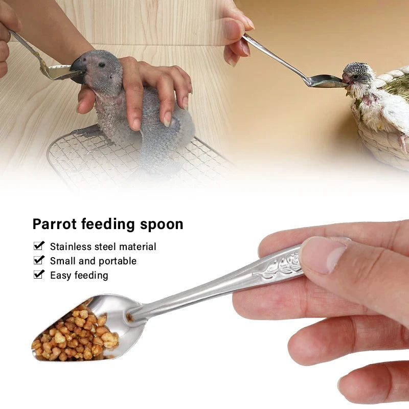 Bird Feeding Spoon Pet Parrot Cage – 3 Colors