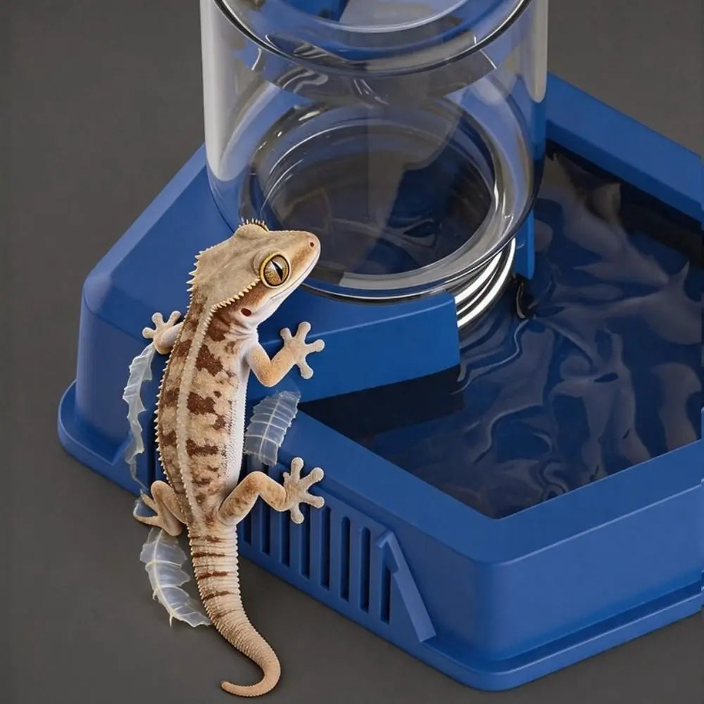 New Automatic Reptile Water Dish Multi-size - MyPetDollar.com