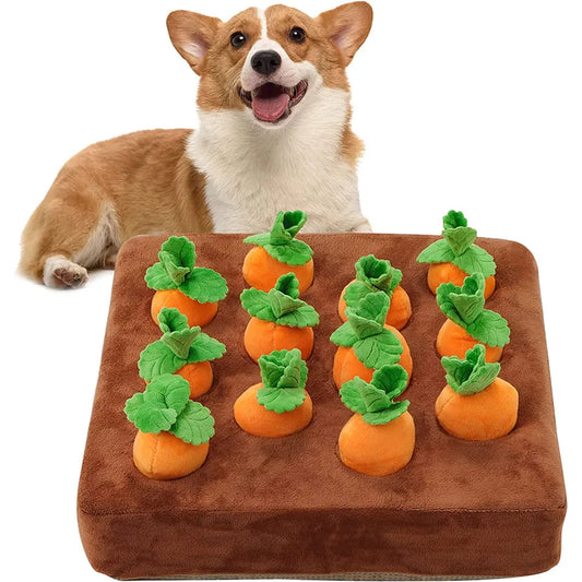 Interactive Dog Toys Carrot Snuffle Mat for - MyPetDollar.com