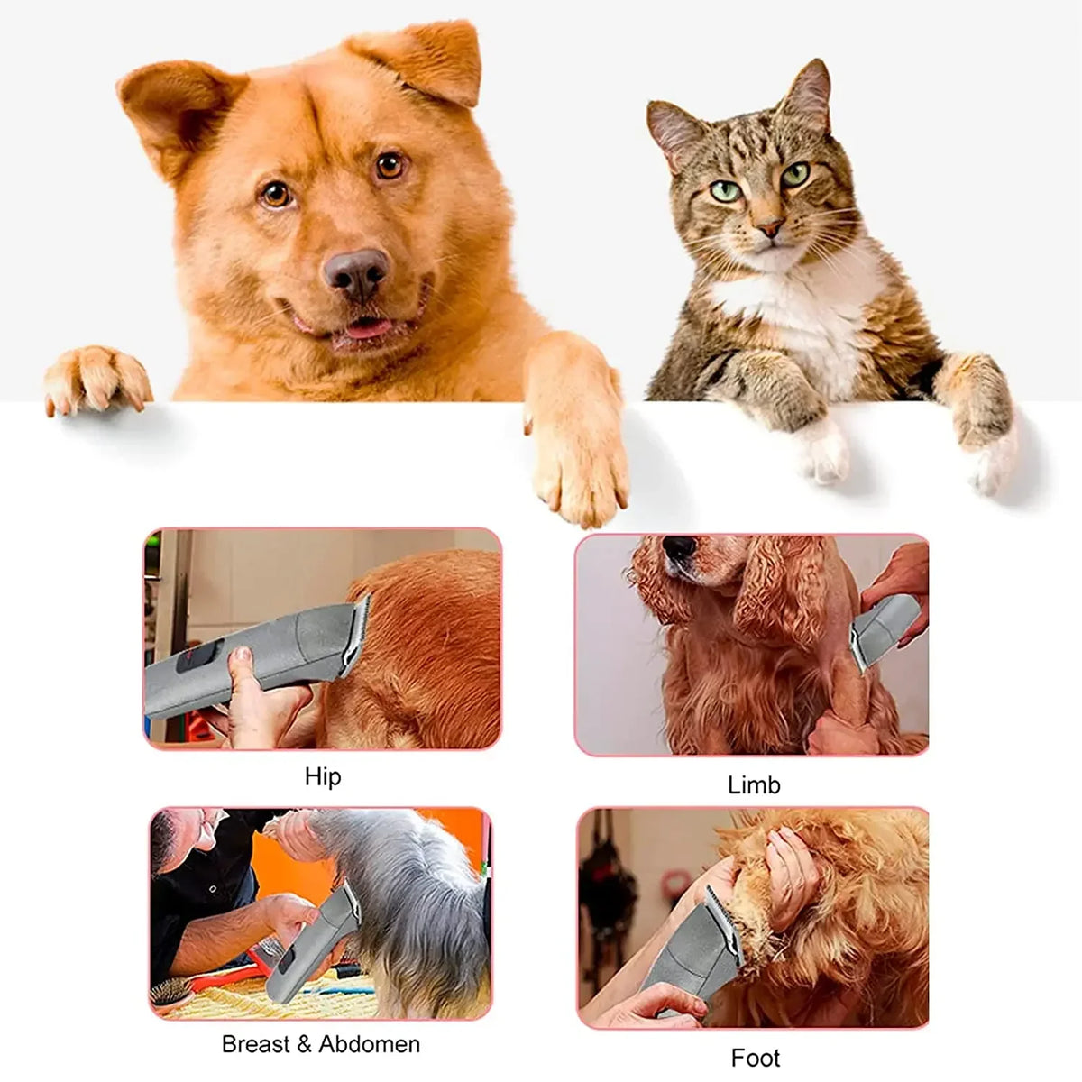 10#,30#,15#,4FC#,5FC#,7FC# Black Dog - MyPetDollar.com