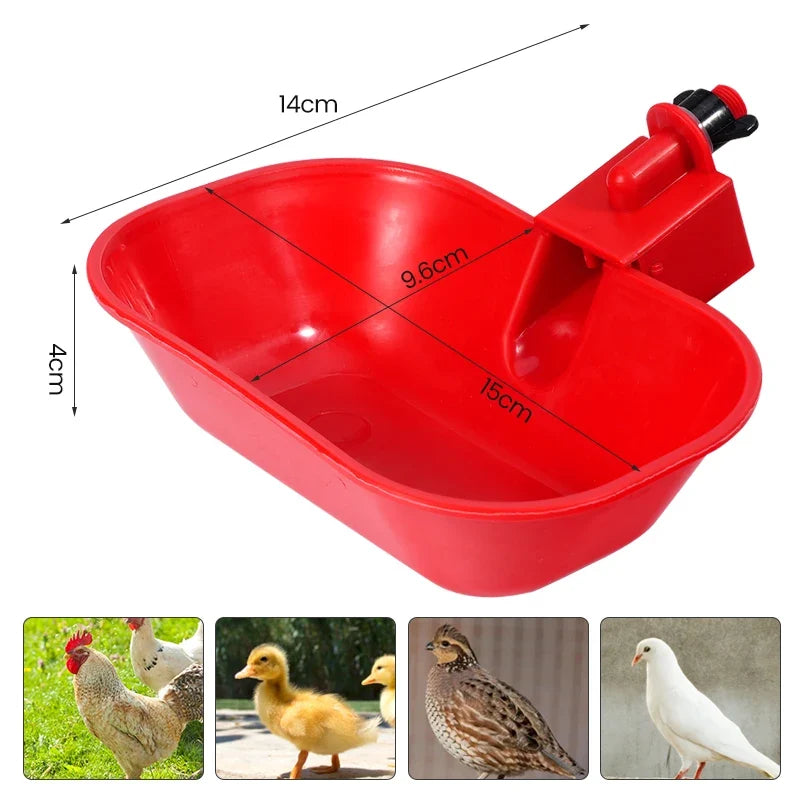 Poultry Water Bowl Pet Drinking Water - MyPetDollar.com