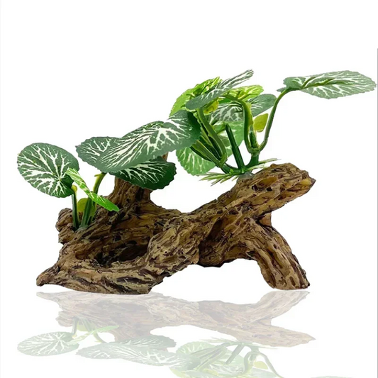 Beautiful Underwater Grass Aquarium Fish - MyPetDollar.com