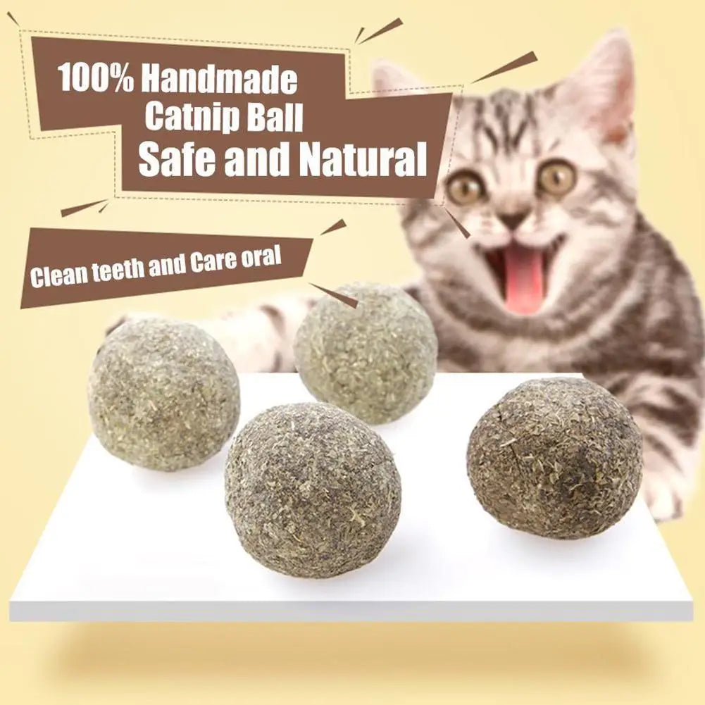 1~5PCS Natural Catnip Cat Wall Stick-on Ball - MyPetDollar.com