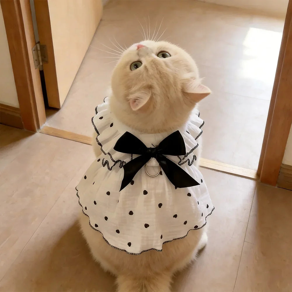 Cat Summer Dress Anti Shedding Thin Pet - MyPetDollar.com
