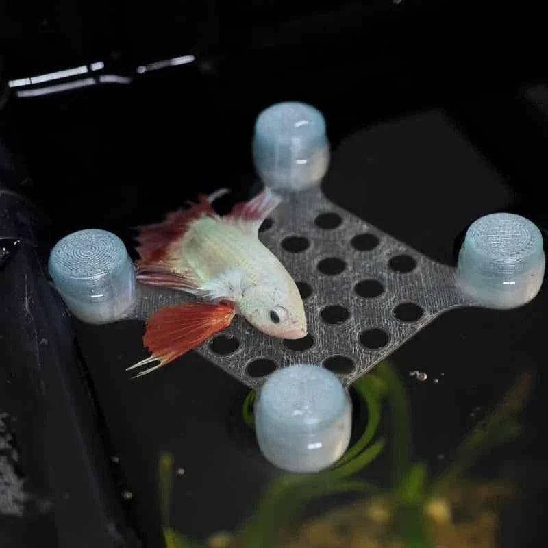Betta Fish Rest Bed Suction Cup Aquarium - MyPetDollar.com