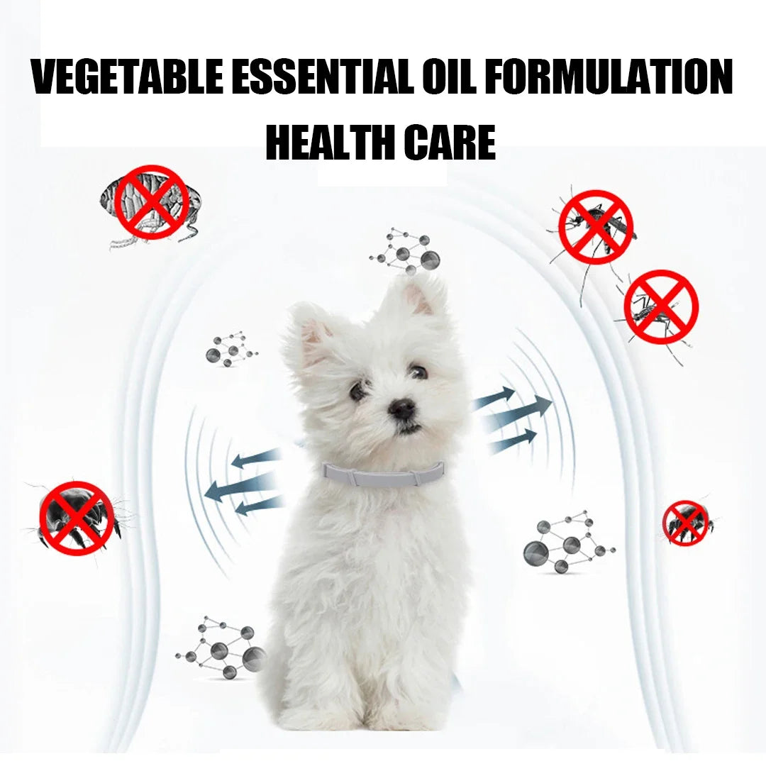 Dog Anti Flea And Tick Collars Pet 8 Month - MyPetDollar.com