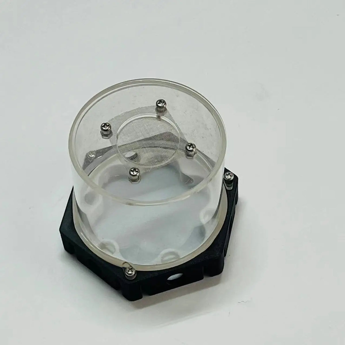 Moisturizing Idea Reptile Terrarium Ants - MyPetDollar.com