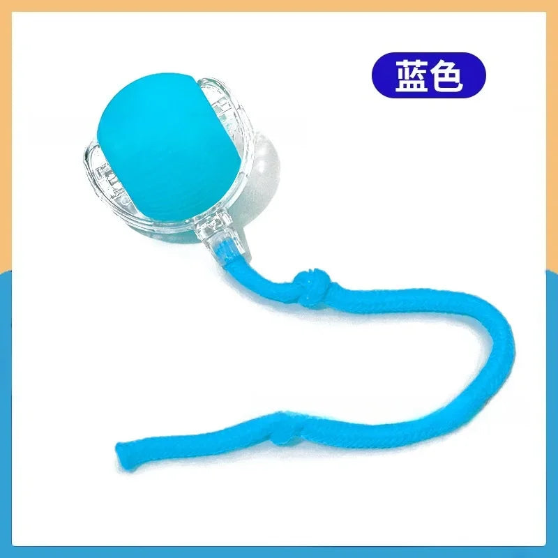 Cat Toy Ball Interactive with String Durable Bite Resistant – Cat Supplies