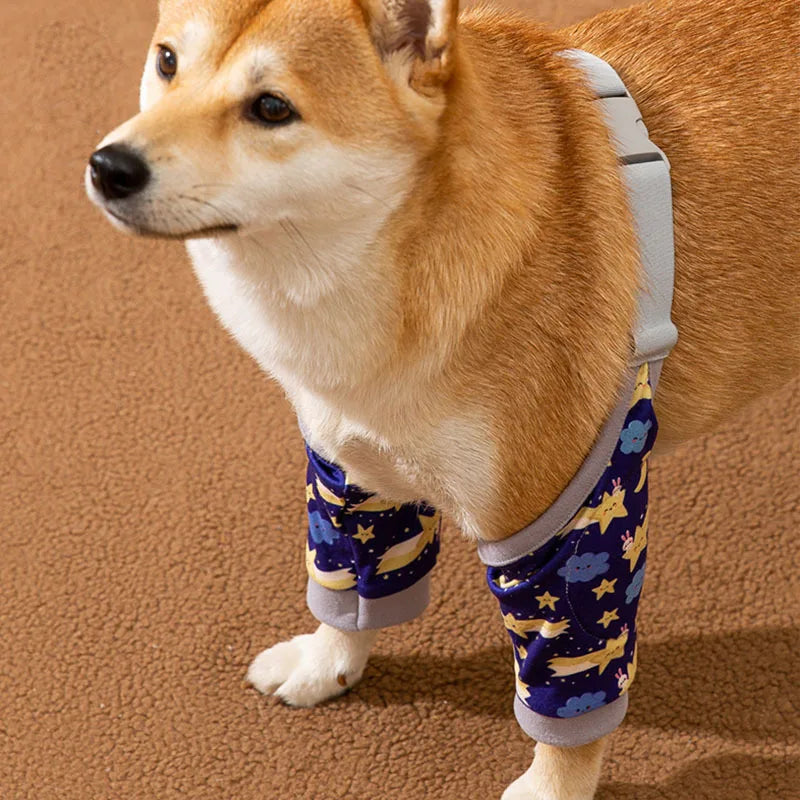 Pets Clothes Knee Pads Joints Protective - MyPetDollar.com