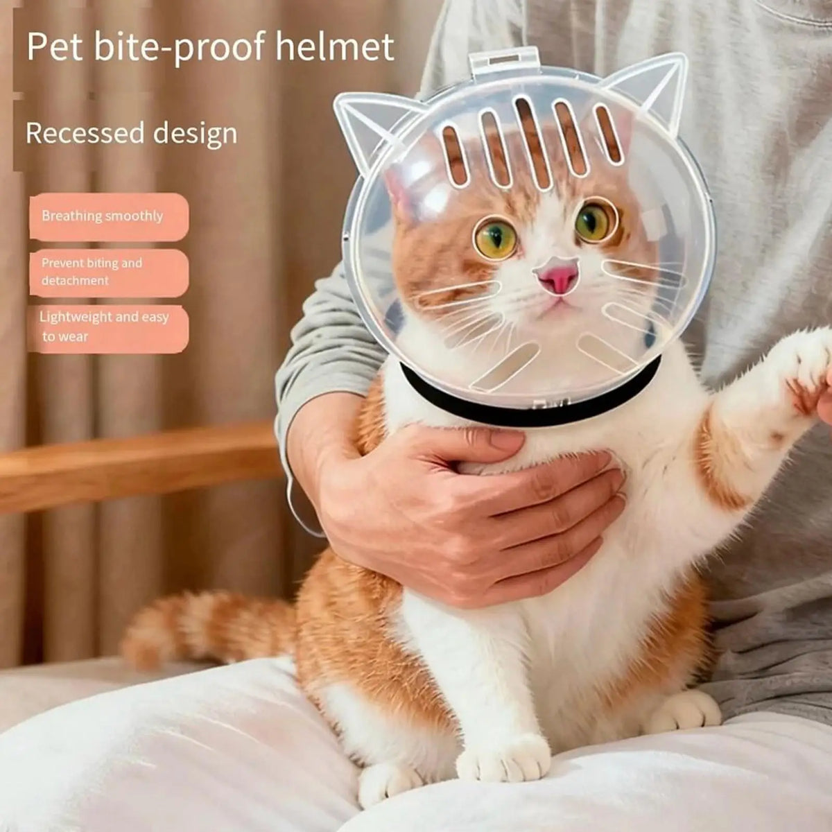 Transparent Cat Hood Breathable cat head - MyPetDollar.com