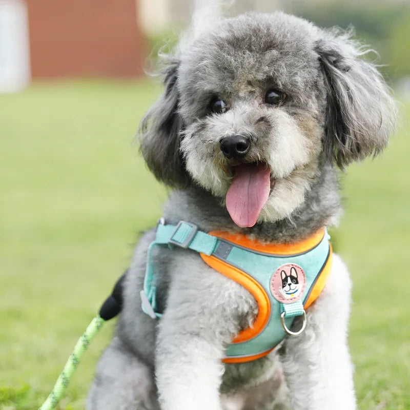 Dog Harness Leash Sets Adjustable Dog - MyPetDollar.com
