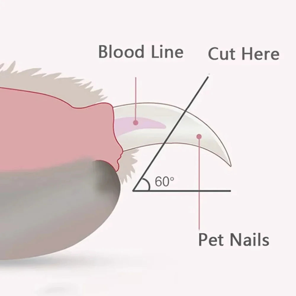 Professional Pet Nail Clippers with Led - MyPetDollar.com