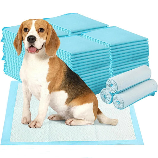 Pet pad, dog and cat pee training pad, pet - MyPetDollar.com