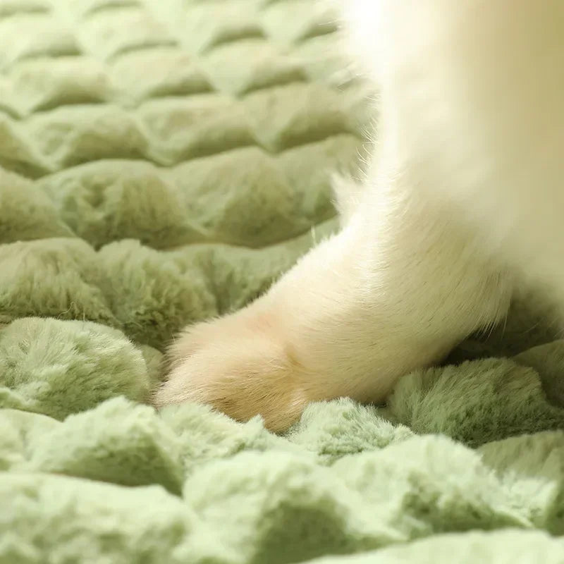 Pet Dog Bed Mat Protect Cervical Spine - MyPetDollar.com