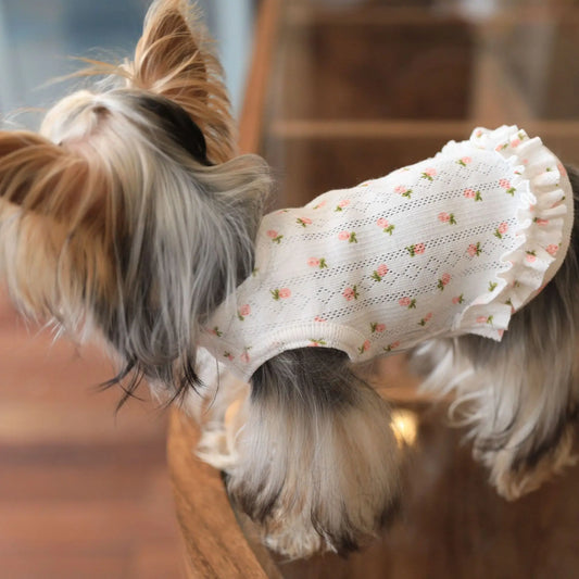 Pet Spring Floral Print T-shirt Cat Teddy - MyPetDollar.com