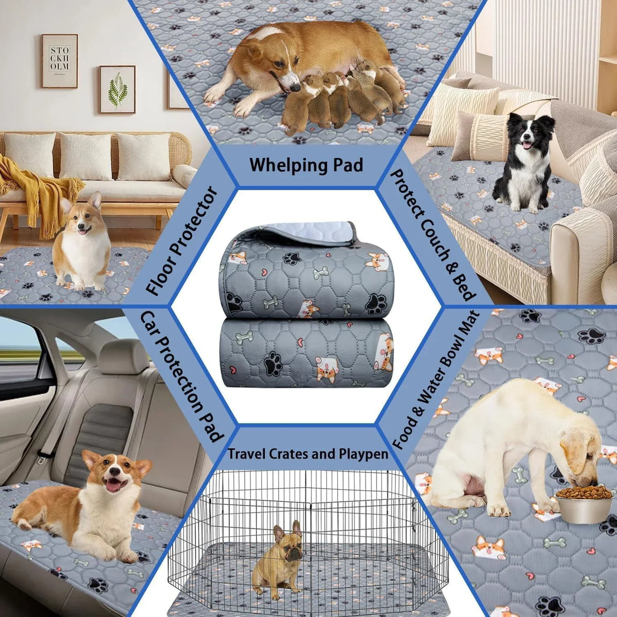 1PC Pet Mat - Thickened and reusable pet - MyPetDollar.com