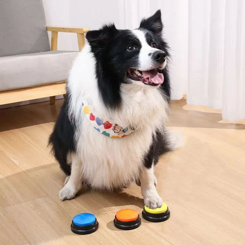Dog Communication Buttons Voice Recording - MyPetDollar.com