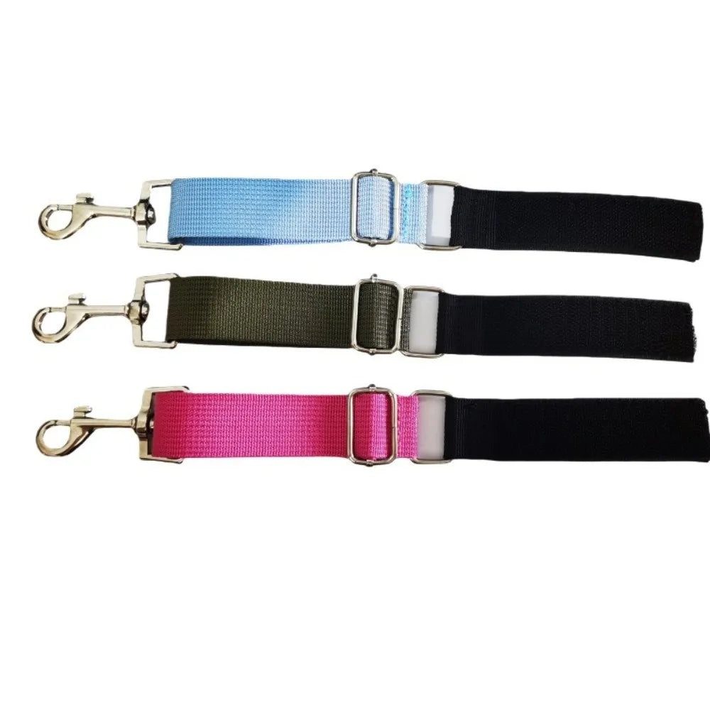 Basic Design Dog Grooming Leashes Elastic - MyPetDollar.com