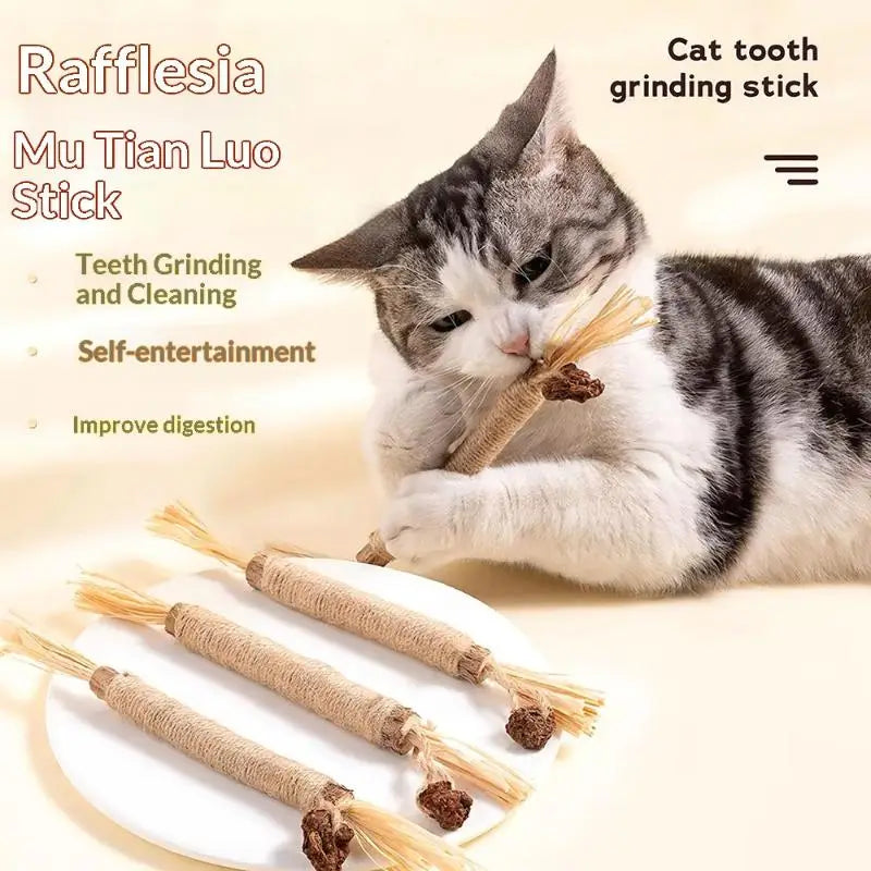 1/2PCS Cat Toys Made Of Wood Knotweed - MyPetDollar.com