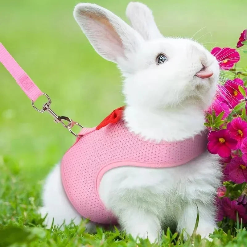 Adjustable Bunny Harness And Leash Set Soft - MyPetDollar.com