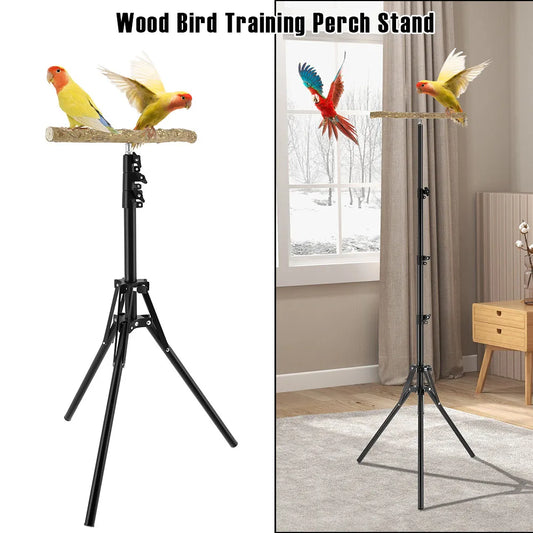 Wood Bird Training Perch Stand Height - MyPetDollar.com