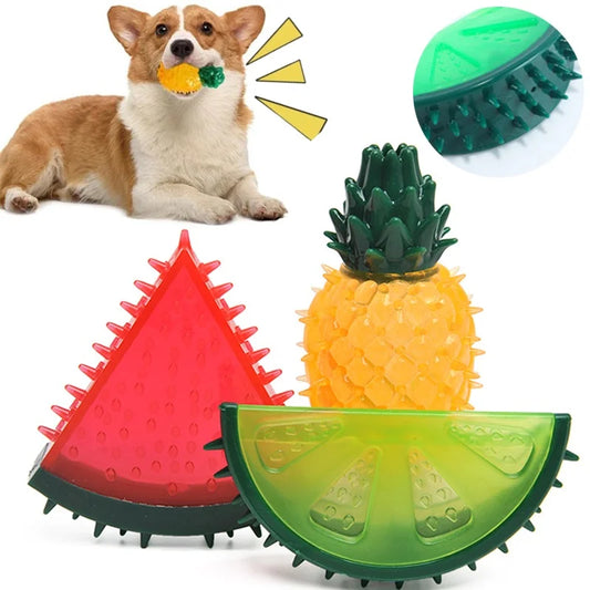 Pet Squeaky Chew Toy Dog Teeth Cleaning Toy - MyPetDollar.com