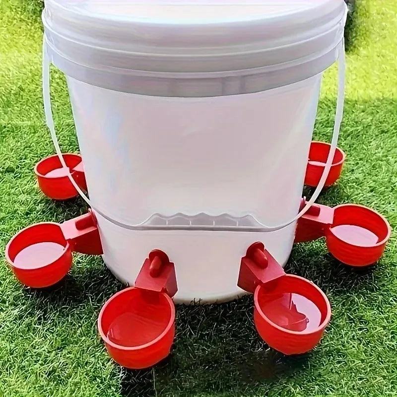Chicken Drinking Bowl Drinking Water Quail - MyPetDollar.com