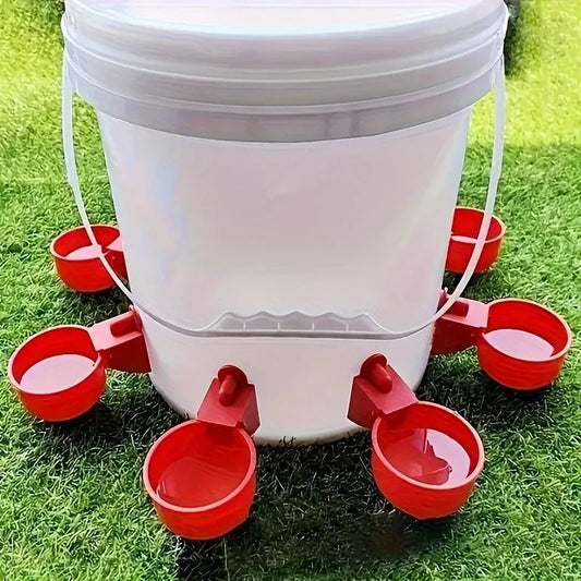 Chicken Drinking Bowl Drinking Water Quail - MyPetDollar.com