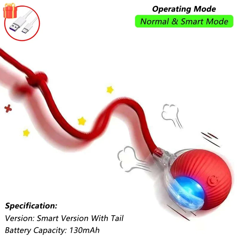 iLMH Indoor Interactive Birds Toy for Cat - MyPetDollar.com