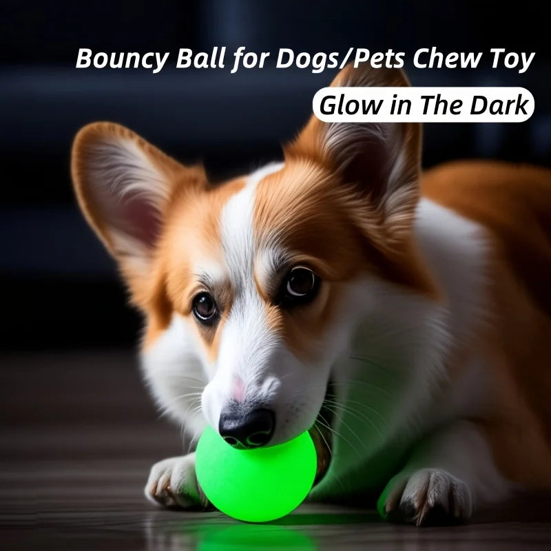 Glow-in-the-Dark Rubber Dog Ball - Durable, - MyPetDollar.com