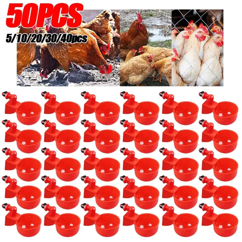 5-50Pcs Chicken Duck Drinking Cup Automatic - MyPetDollar.com