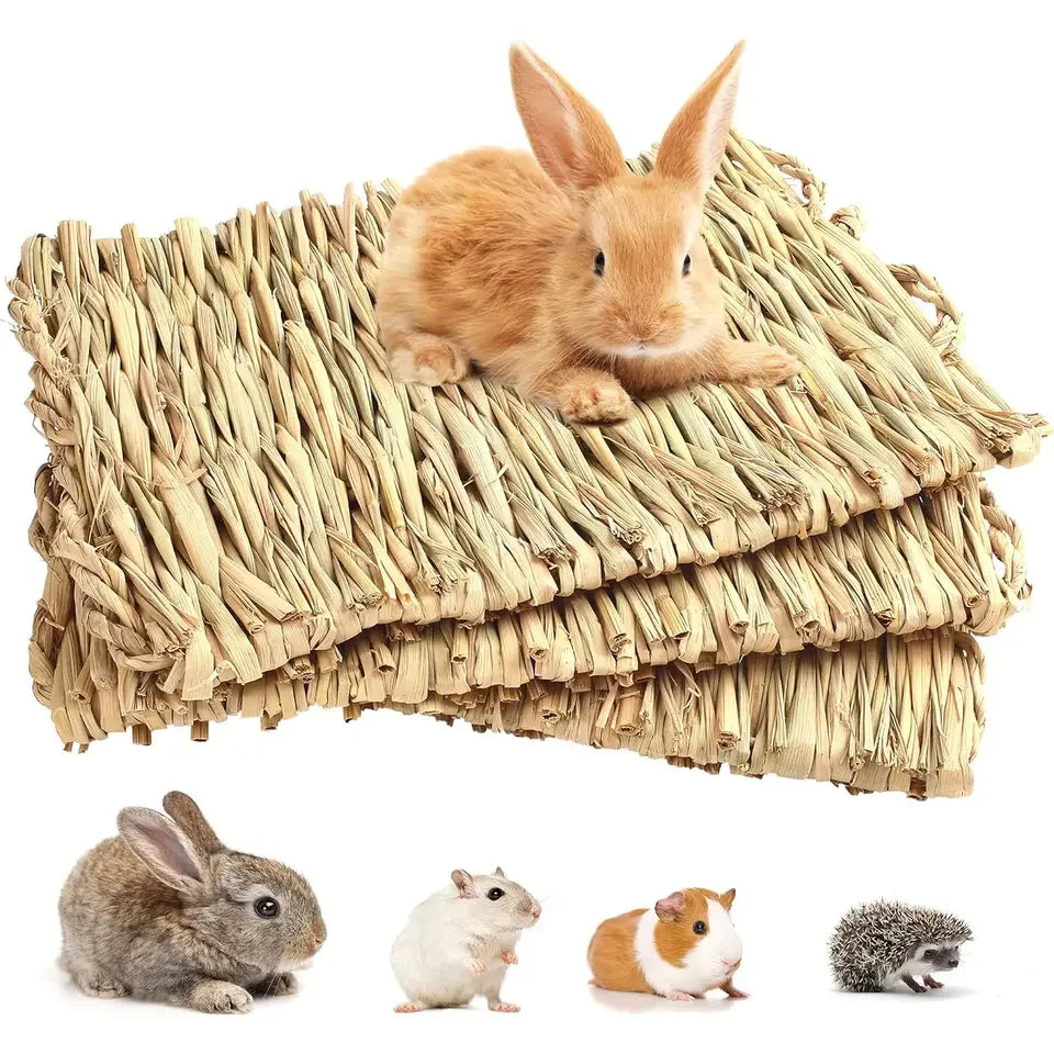 Pet Grass Mat Rabbits Bunny Mat Natural - MyPetDollar.com