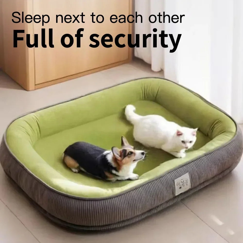 Thickened Wear Resistance Small Breed Dog - MyPetDollar.com