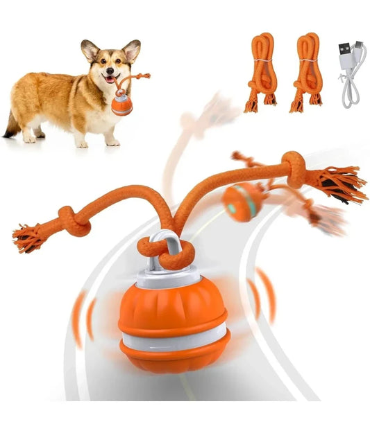 Pet Ball for Dogs Interactive Toys Motion - MyPetDollar.com