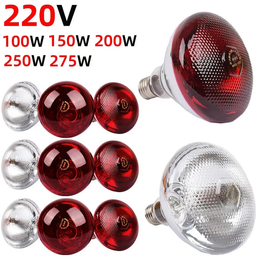 Poultry Heat Lamp Bulb 220V Infrared Ray - MyPetDollar.com