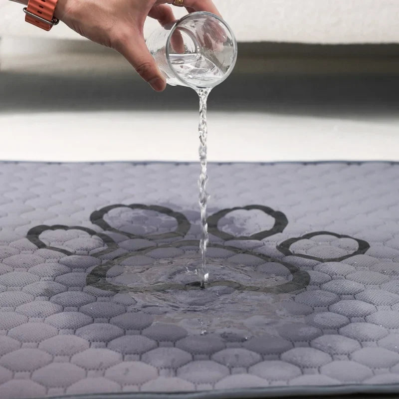 Pet Absorbent Diaper Mat Waterproof and Anti - MyPetDollar.com