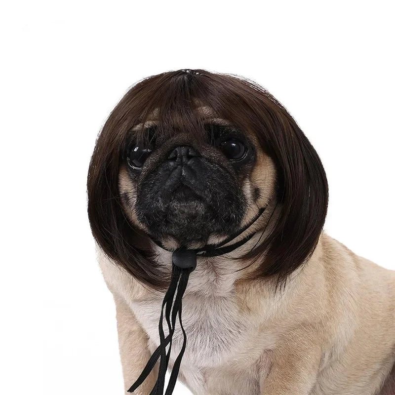Pet Wig Dog and Cat Spoof Supplies Christmas Accessories Curly