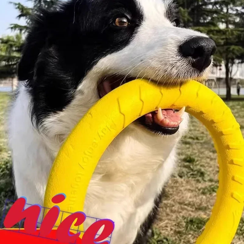 Dog Toy Bite Resistant Touring Frisbee - MyPetDollar.com