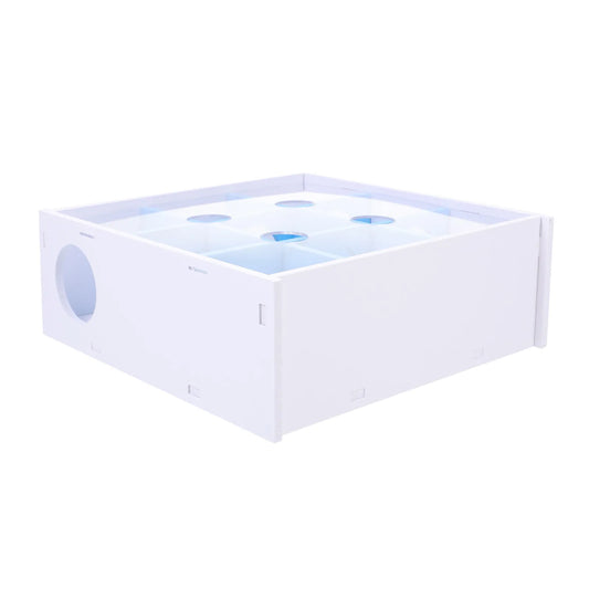 Hamster Maze Tube Acrylic Small Animal - MyPetDollar.com