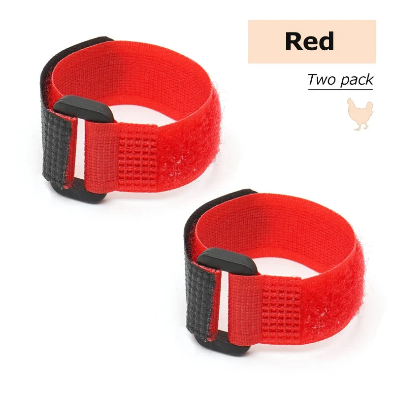 No Crow Rooster Collar – 5 Colors