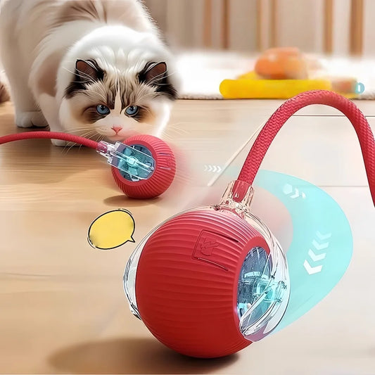 Dog Toy Automatic Dog Walking Ball - MyPetDollar.com