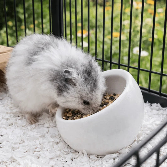 Ceramic Hamster Food Bowl Anti-Rollover - MyPetDollar.com