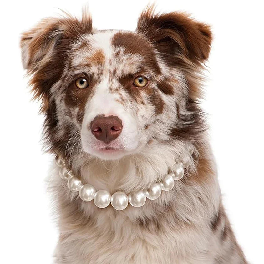 Luxury Dog Pearl Necklace Jewelry - MyPetDollar.com