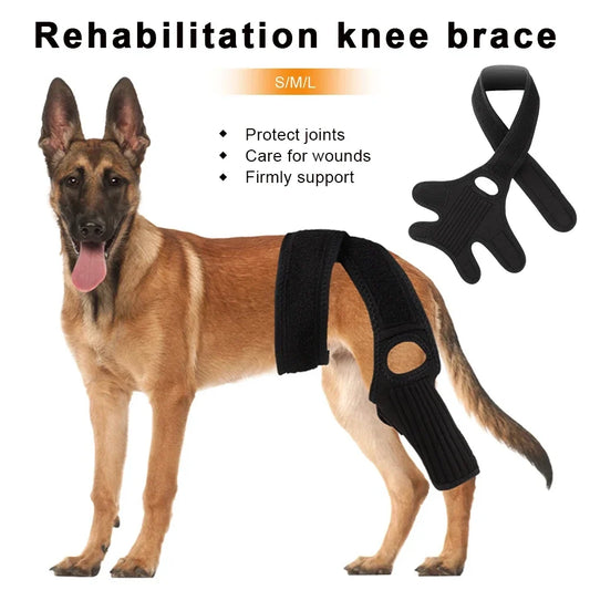 Comfortable and Breathable Dog Knee Pads - MyPetDollar.com
