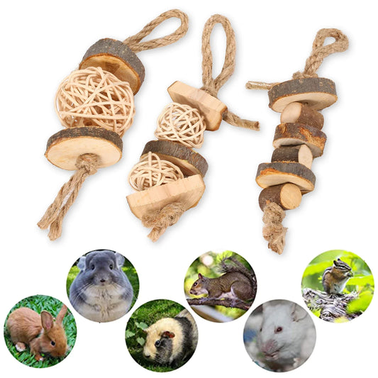 【Sale】3PCS Hamster Chew Toys Chinchilla Chew - MyPetDollar.com