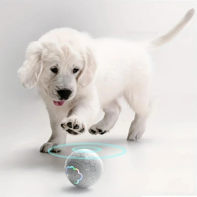 Smart Dog Toy Ball Electronic Pet Toy Ball - MyPetDollar.com