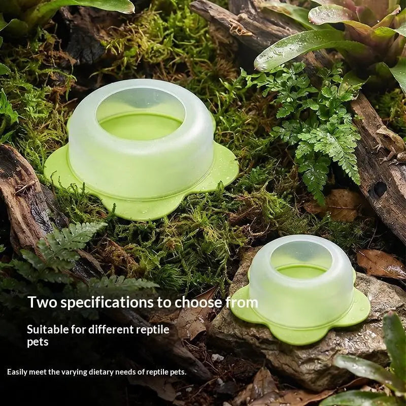 【CC】1Pcs ABS Reptile Feeding Dish Anti - MyPetDollar.com